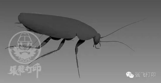 3D打印蟑螂小強(qiáng)誕生記(超精細(xì)) 妹紙膽小也可入
3D打印蟑螂,3D打印小強(qiáng),3D打印技術(shù),3D打印服務(wù),3D打印平臺(tái),e鍵打印